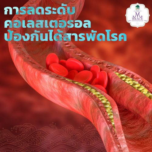 Hilestto: For Those Concerned About High Blood Cholesterol - Image 3