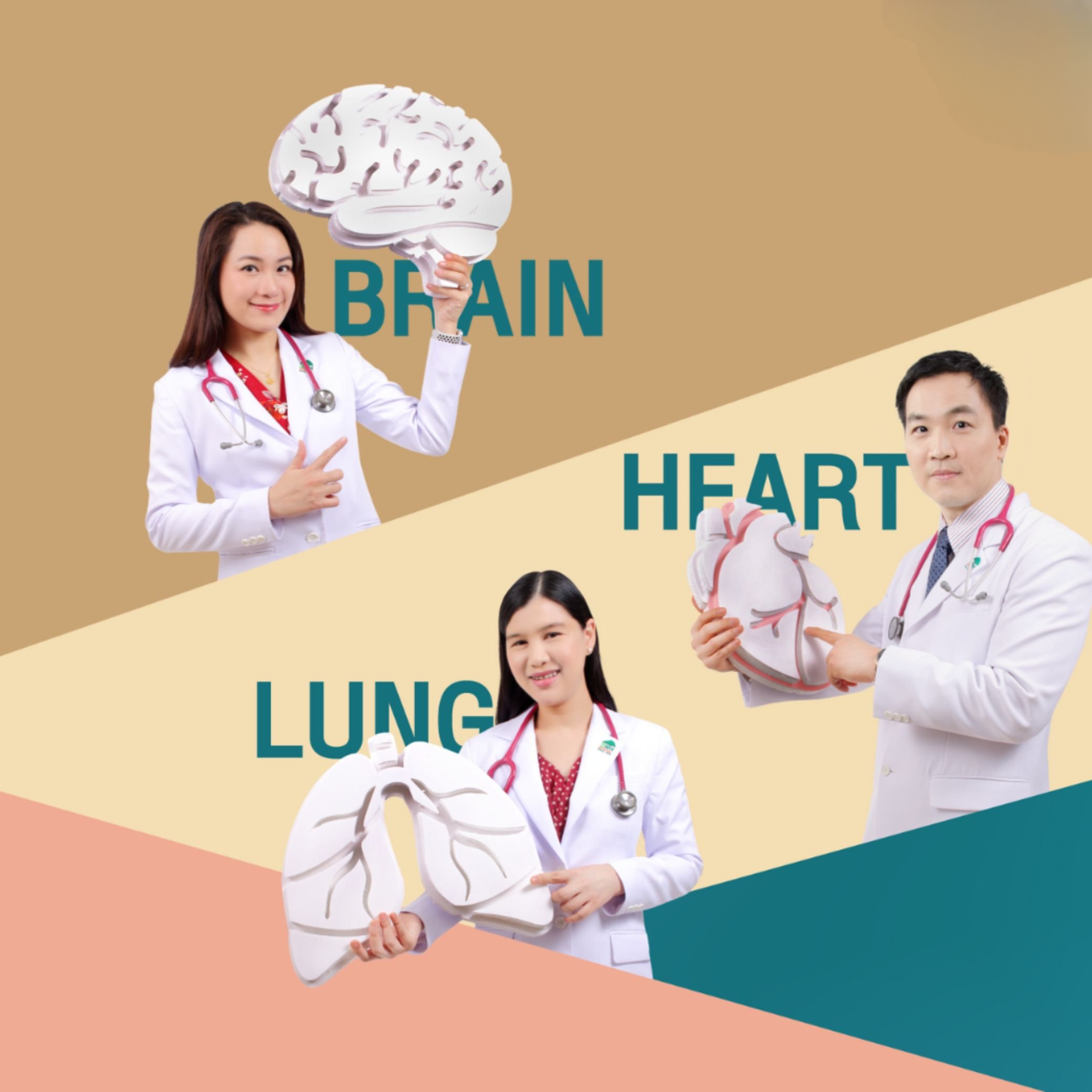 แพ็กเกจตรวจ สมอง หัวใจ ปอด