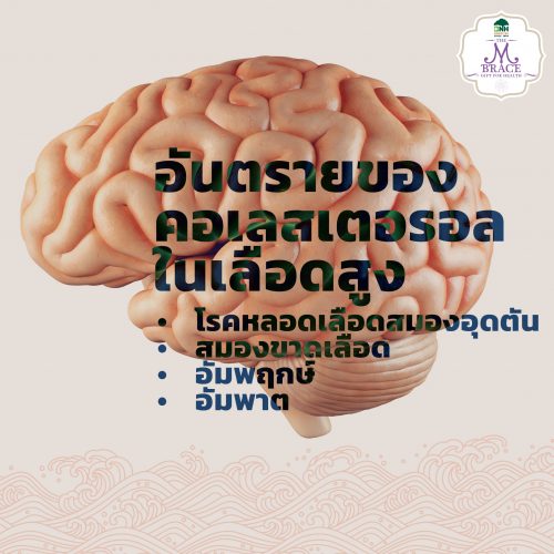 Hilestto: For Those Concerned About High Blood Cholesterol - Image 5